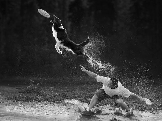 Playing disc with dog — Jenqhorng Liang, Taiwan