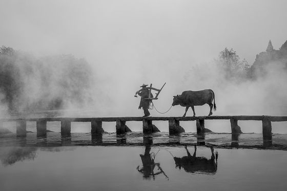Go To Work — Pao Ling Wu, Taiwan