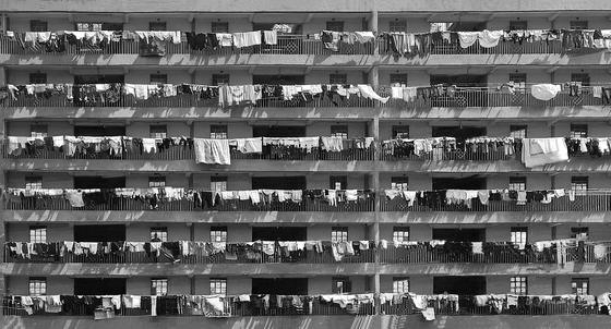 Daily Work — Shekhar Mangaonkar, India