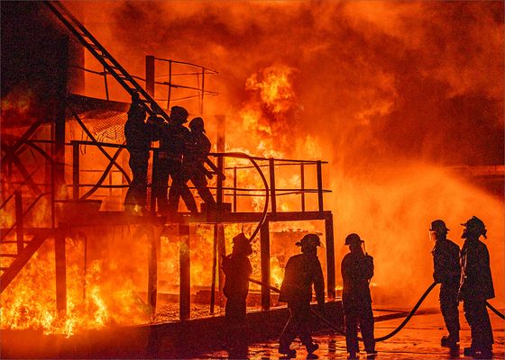 Risking It All — Cynthia Uren, South Africa