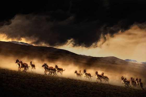The Mountain Rain Is Coming 3 — Shengfu Jiao, China